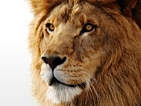 Test your knowledge - Animal quizzes