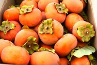 Test your knowledge - Fruit quizzes